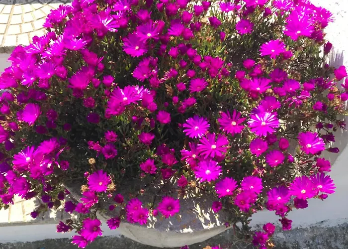 Hébergement de vacances Dimoraros *